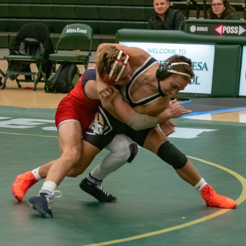 Wrestlers engaged in competition